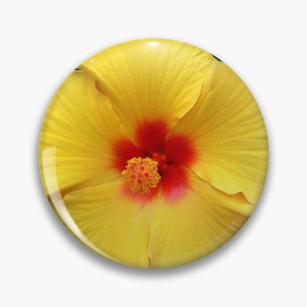 Item preview, Hibiscus Yellow/Red Flower designed and sold by BostonArcImage.