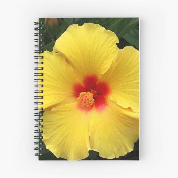Item preview, Hibiscus Yellow/Red Flower designed and sold by BostonArcImage.