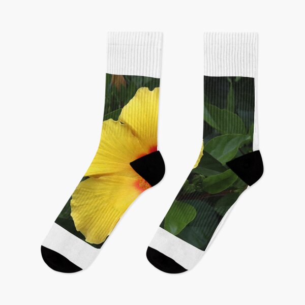 Item preview, Hibiscus Yellow/Red Flower designed and sold by BostonArcImage.