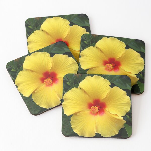 Item preview, Hibiscus Yellow/Red Flower designed and sold by BostonArcImage.