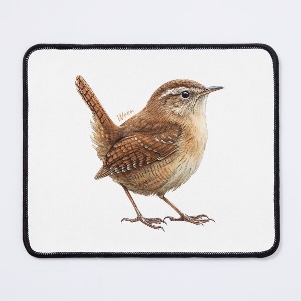 Item preview, Wren bird, Garden Bird designed and sold by iclipart.