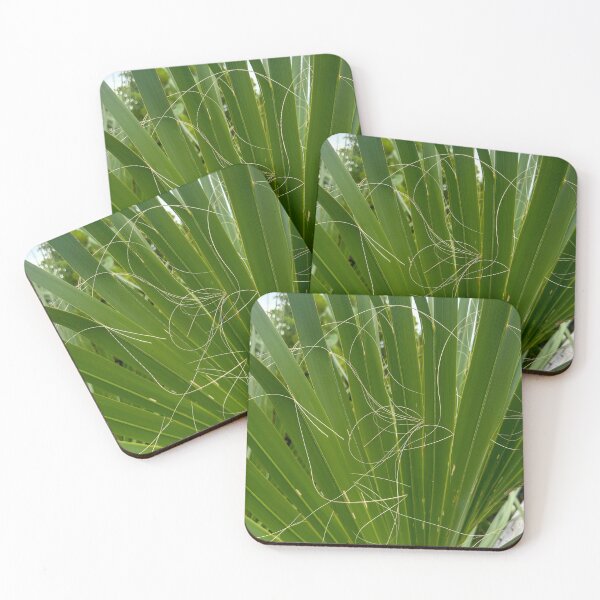 Item preview, Wild Threads — Miami, Florida (iPhone Photography) designed and sold by 313FILES.