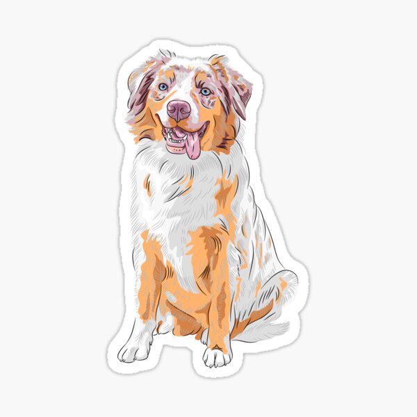Australian Shepherd Sticker