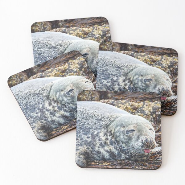 Item preview, Seal at Seal Sands, Tees Estuary, Hartlepool designed and sold by Martin Stokes Photography.