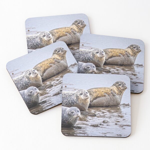 Item preview, Seals at Seal Sands, Tees Estuary, Hartlepool designed and sold by Martin Stokes Photography.