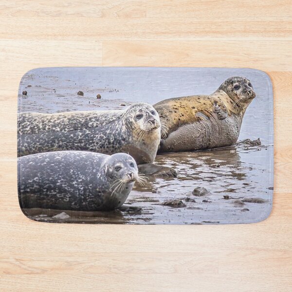 Item preview, Seals at Seal Sands, Tees Estuary, Hartlepool designed and sold by Martin Stokes Photography.