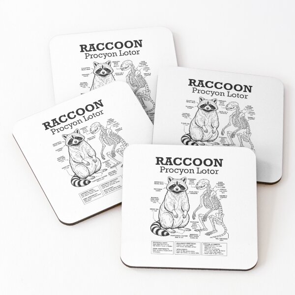 Item preview, Raccoon Anatomy Procyon Lotor Skeleton Funny Science Diagram designed and sold by GrandeDuc.