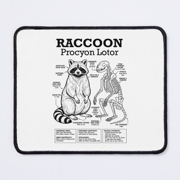 Item preview, Raccoon Anatomy Procyon Lotor Skeleton Funny Science Diagram designed and sold by GrandeDuc.