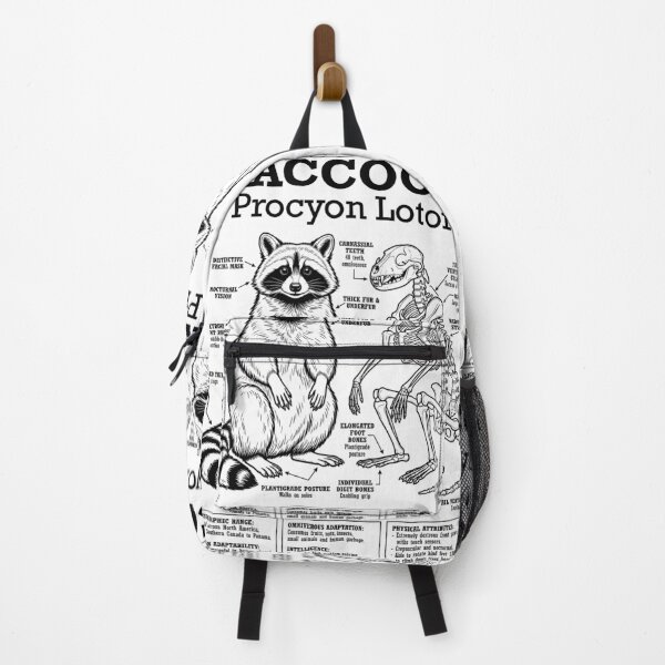 Item preview, Raccoon Anatomy Procyon Lotor Skeleton Funny Science Diagram designed and sold by GrandeDuc.