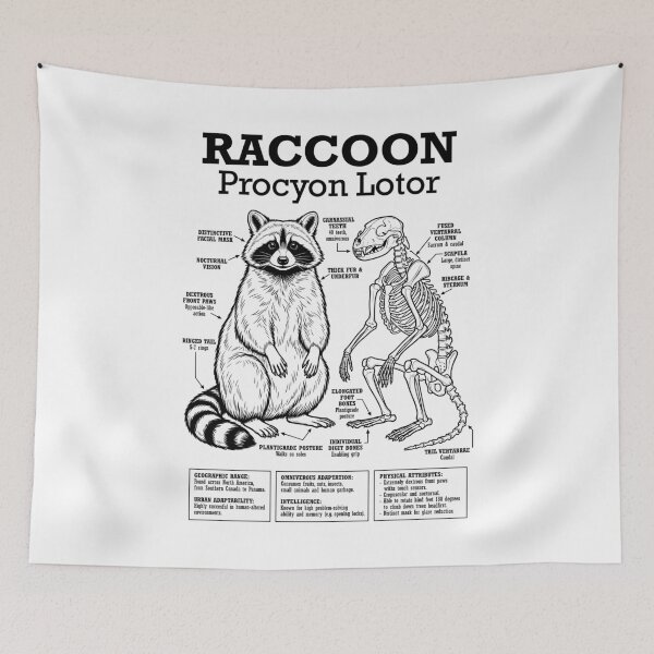 Item preview, Raccoon Anatomy Procyon Lotor Skeleton Funny Science Diagram designed and sold by GrandeDuc.