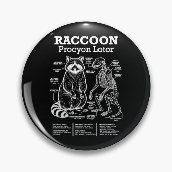 Item preview, Raccoon Anatomy Procyon Lotor Skeleton Funny Science Diagram designed and sold by GrandeDuc.