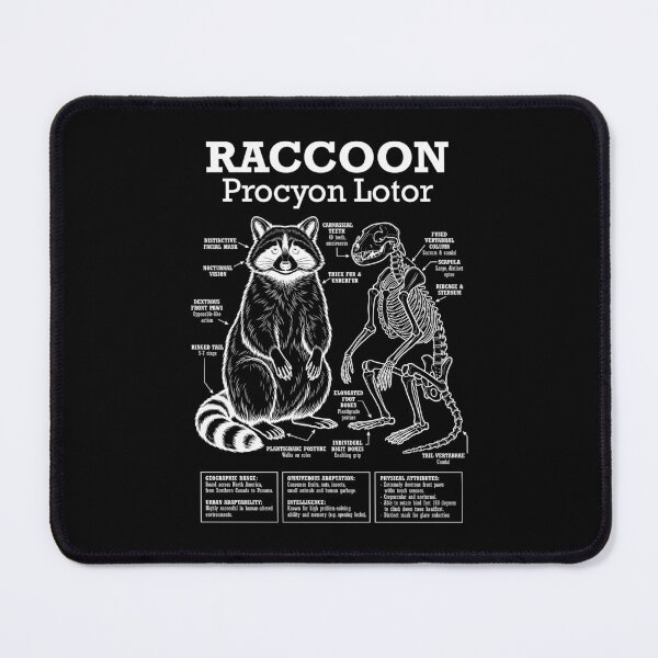 Item preview, Raccoon Anatomy Procyon Lotor Skeleton Funny Science Diagram designed and sold by GrandeDuc.