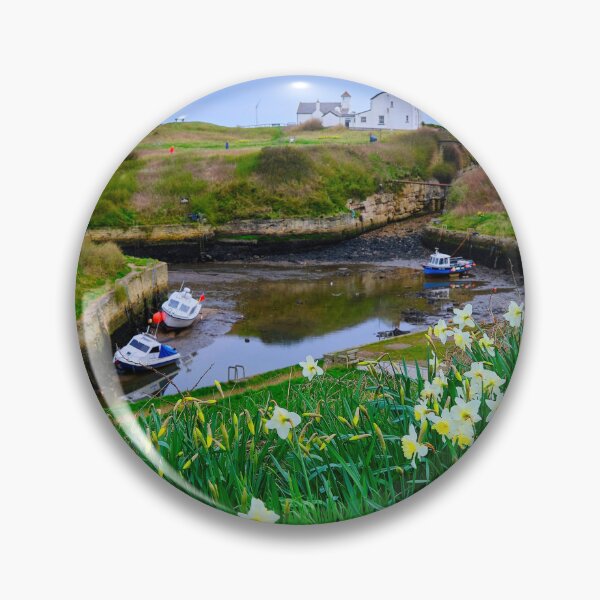 Item preview, Seaton Sluice Harbour Daffodils  designed and sold by Violaman.