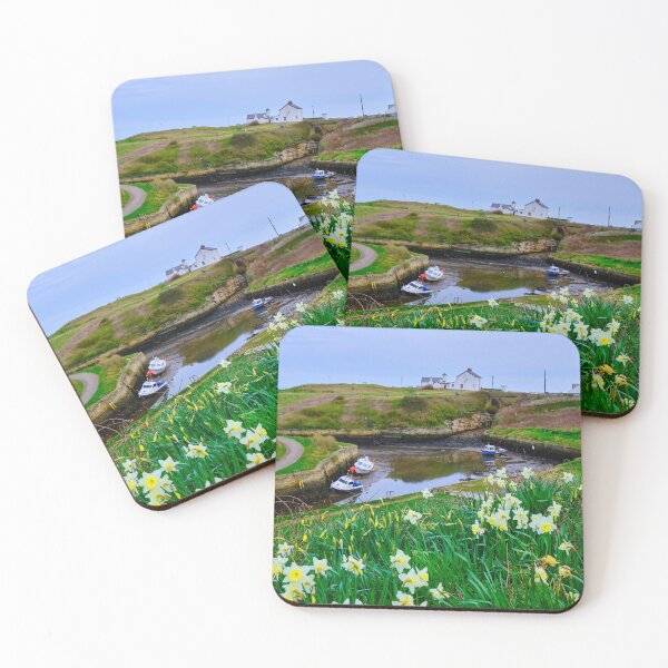 Item preview, Seaton Sluice Harbour Daffodils  designed and sold by Violaman.