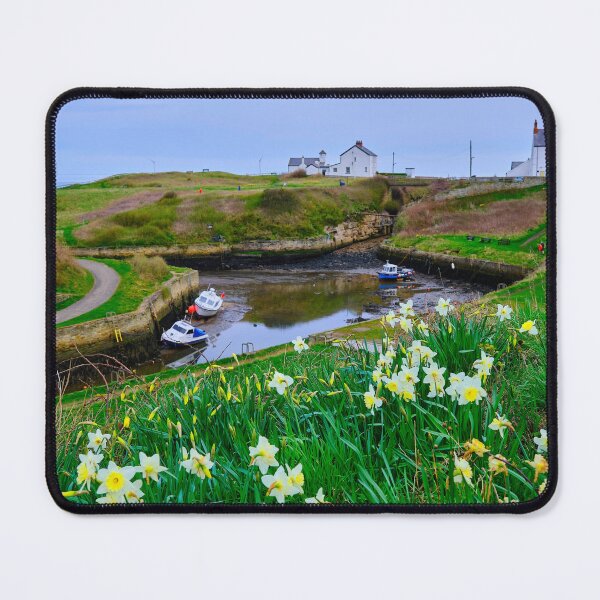 Item preview, Seaton Sluice Harbour Daffodils  designed and sold by Violaman.