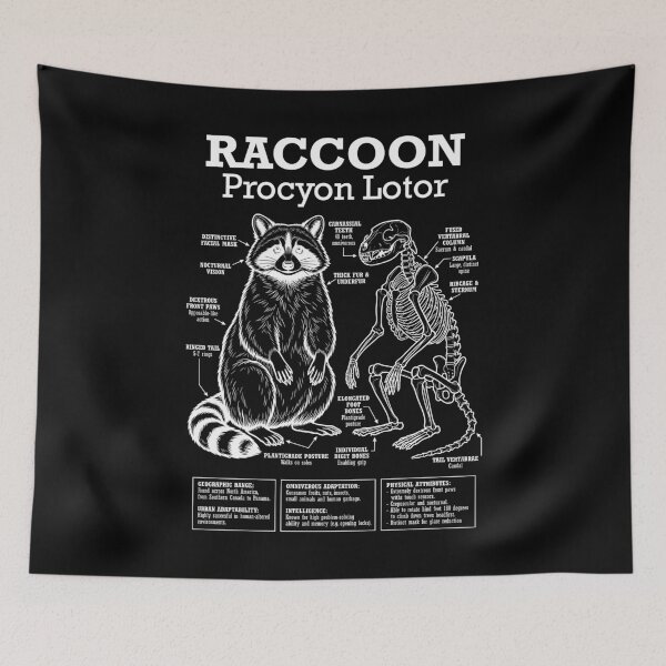 Item preview, Raccoon Anatomy Procyon Lotor Skeleton Funny Science Diagram designed and sold by GrandeDuc.