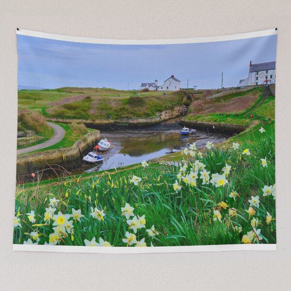 Item preview, Seaton Sluice Harbour Daffodils  designed and sold by Violaman.
