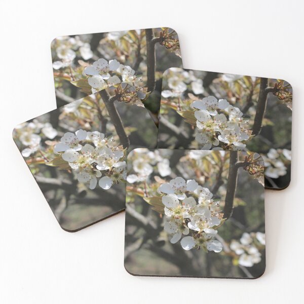 Item preview, Pear tree blossoms  designed and sold by McFleur's Lens.