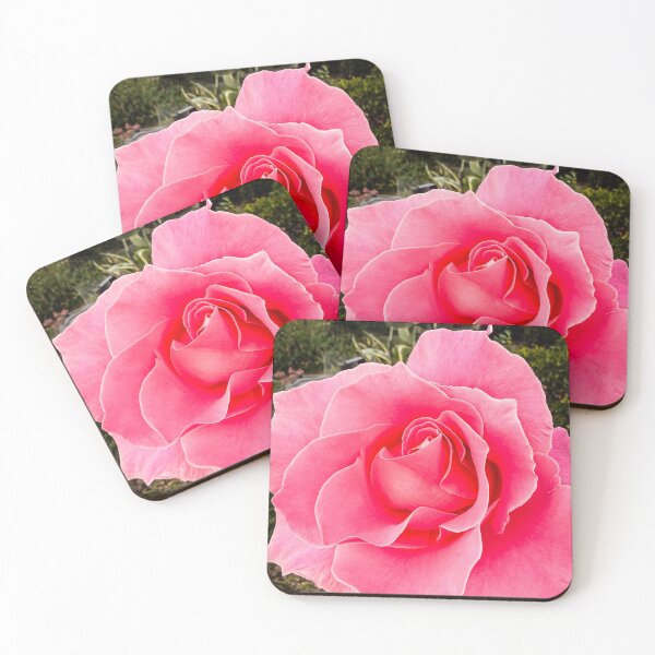 Item preview, Rosa 'Bewitched' designed and sold by Douglas E. Welch Design and Photography.