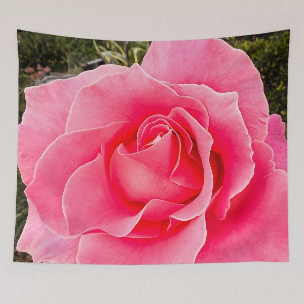 Item preview, Rosa 'Bewitched' designed and sold by Douglas E. Welch Design and Photography.