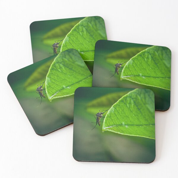 Item preview, Mosquito Resting on Leaf Edge Macro designed and sold by RawmenX.