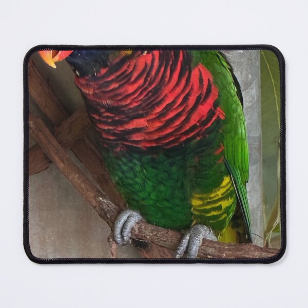 Item preview, Curious Lorikeet Parrot hangin' out. designed and sold by greencitystudio.