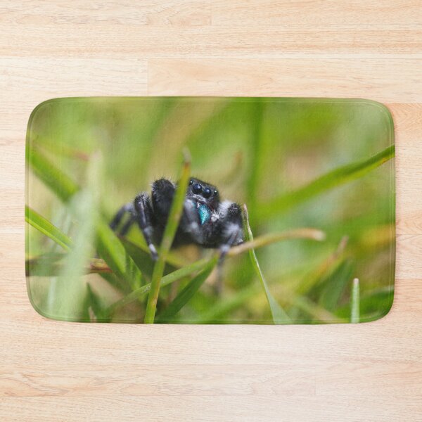 Item preview, Shy Little Jumping Spider designed and sold by AnnieSummers.