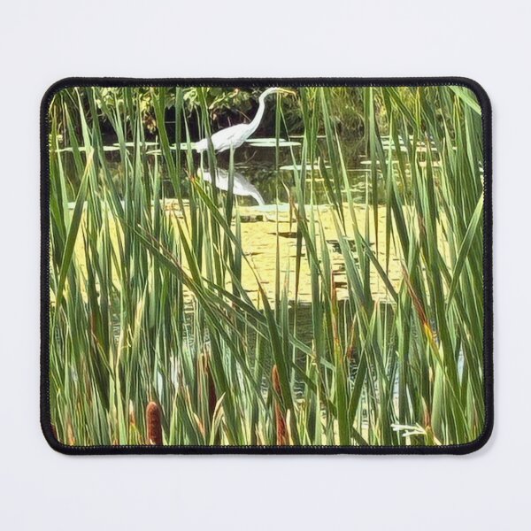 Item preview, Great Egret in view through the cattails and tall grass. designed and sold by greencitystudio.