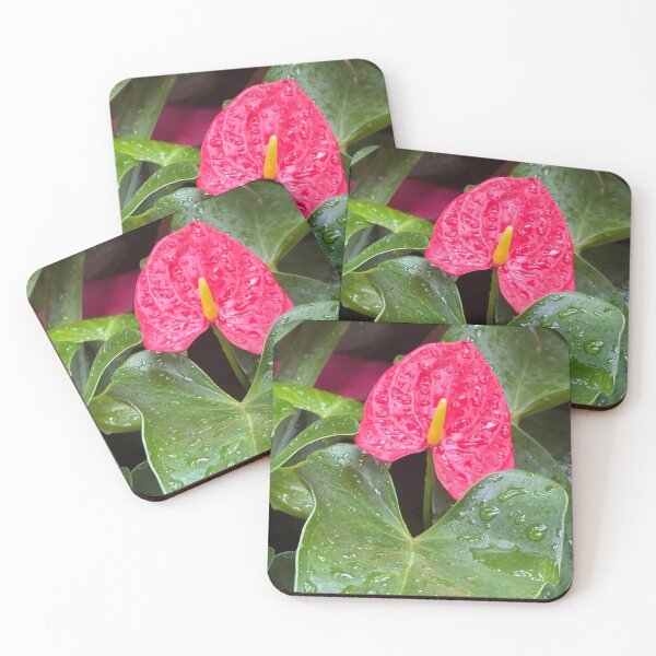 Item preview, Photo of an Anthurium andraeanum Flamingo flower tropical plant. designed and sold by greencitystudio.