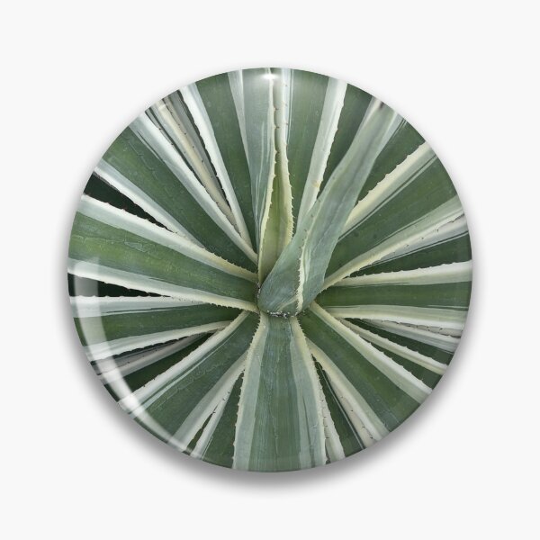 Item preview, The mesmerizing Agave plant. designed and sold by greencitystudio.