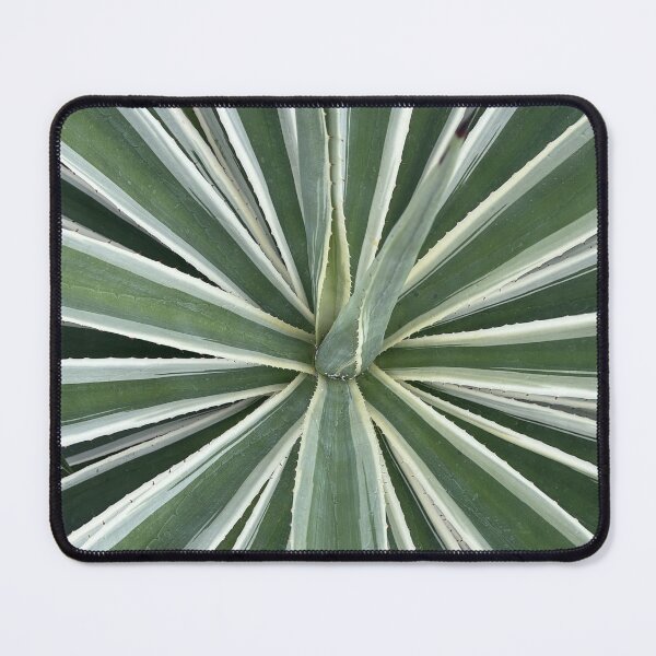Item preview, The mesmerizing Agave plant. designed and sold by greencitystudio.