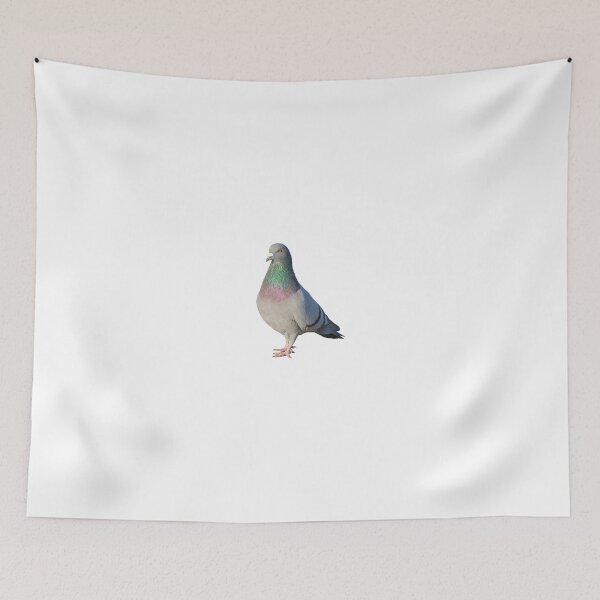 Item preview, Rock Pigeon designed and sold by kyra0nicole.