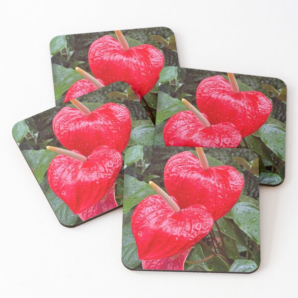 Item preview, Photo of two Anthurium andraeanum Flamingo flowers tropical plants. designed and sold by greencitystudio.