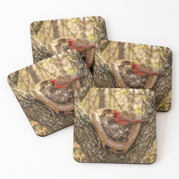 Item preview, Cardinal Nest in a Baseball Glove designed and sold by Maria Dryfhout.