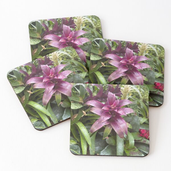 Item preview, Purple Bromeliad flower in full bloom designed and sold by greencitystudio.