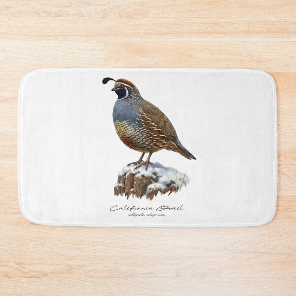 Item preview, California Quail on a Snowy Rock designed and sold by Takeda-art.