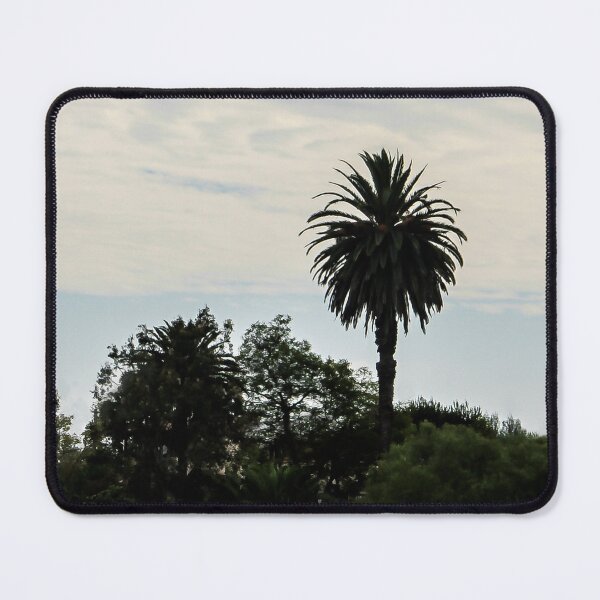 Item preview, San Diego Landscape designed and sold by heatherfriedman.