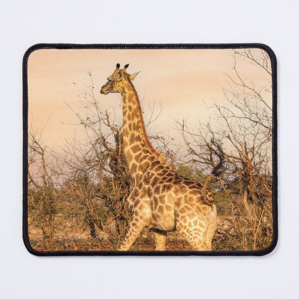 Item preview, Runaway Giraffe designed and sold by Kay Brewer.