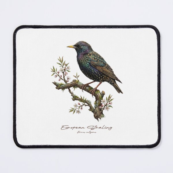 Item preview, European Straling on Flowery Branch designed and sold by Takeda-art.