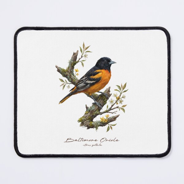 Item preview, Baltimore Oriole on Flowery Branch designed and sold by Takeda-art.