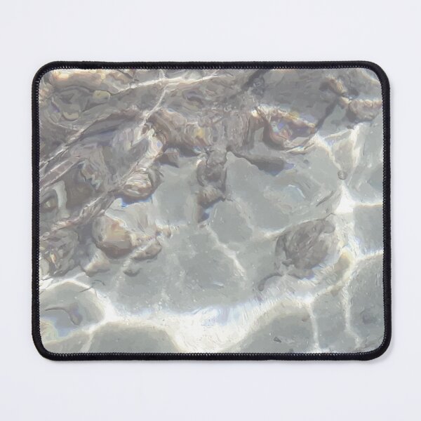 Item preview, Agaleus - Holographic water Fragment designed and sold by PerceptaAtelier.
