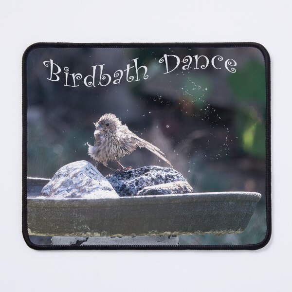 Item preview, Birdbath Dance designed and sold by CarolM.