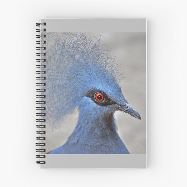 Item preview, Crowned Pigeon designed and sold by Savannah Gibbs.
