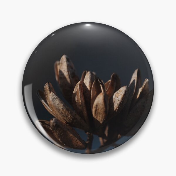 Item preview, Dry up flower photography with beautiful back ground  designed and sold by tenkenryujin.