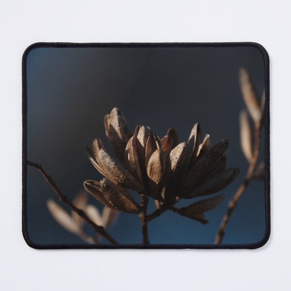 Item preview, Dry up flower photography with beautiful back ground designed and sold by tenkenryujin.