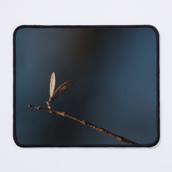 Item preview, Copy of Dry up flower photography with beautiful back ground designed and sold by tenkenryujin.