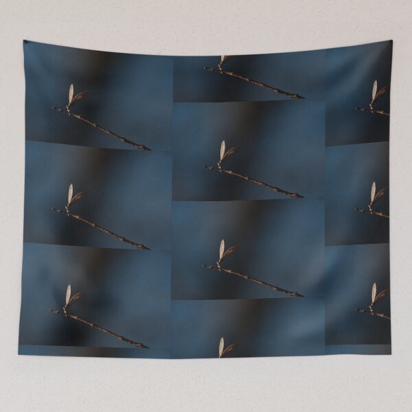 Item preview, Copy of Dry up flower photography with beautiful back ground  designed and sold by tenkenryujin.