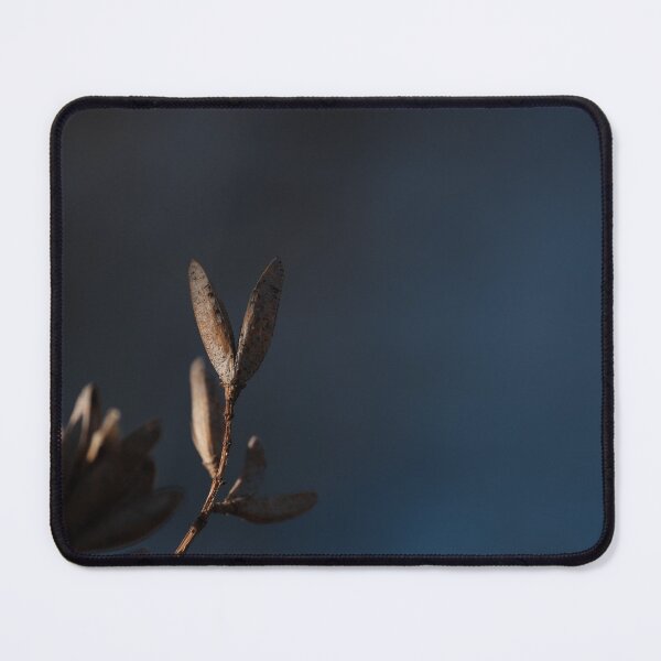 Item preview, Copy of Dry up flower photography with beautiful back ground designed and sold by tenkenryujin.
