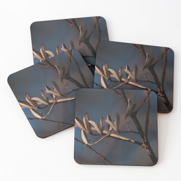 Item preview, Copy of Dry up flower photography with beautiful back ground  designed and sold by tenkenryujin.