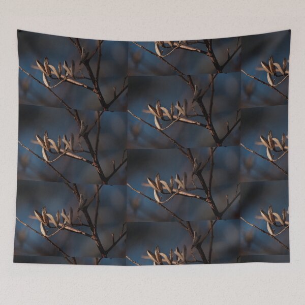 Item preview, Copy of Dry up flower photography with beautiful back ground  designed and sold by tenkenryujin.